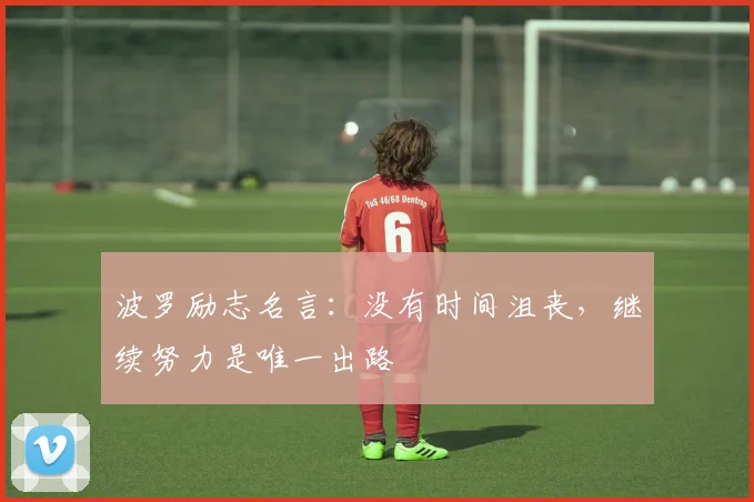 波罗励志名言：没有时间沮丧，继续努力是唯一出路